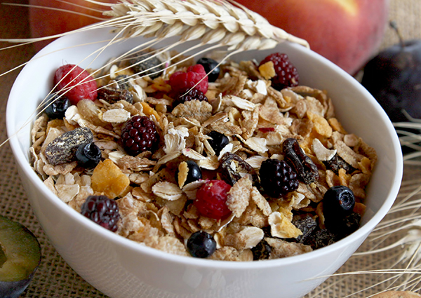 bowl of dried fruit and oat cereal