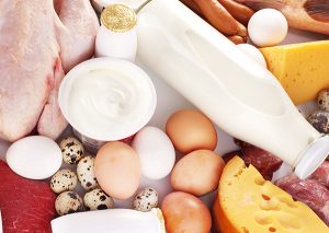 assortment of eggs and dairy products