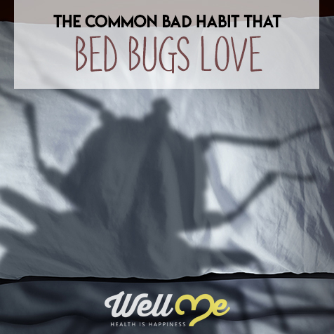 how to get rid of bed bugs title card