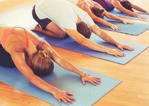 four people doing yoga poses on yoga mats