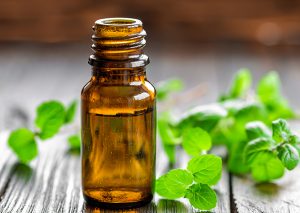 small dark glass bottle of essential oil with mint leaves