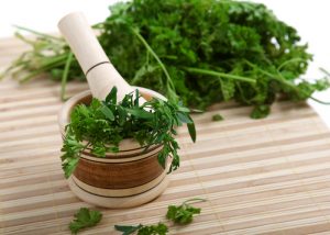fresh cilantro on a cutting board with a mortar and pestle
