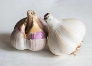 two partially peeled heads of garlic