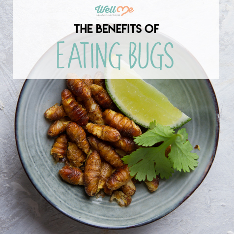 the benefits of eating bugs