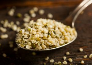 close up on a spoonful of hemp seeds on a dark background