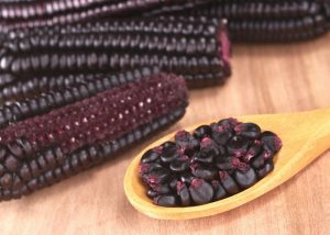 ears of purple corn on a table with kernels in a wooden spoon