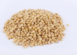 sorghum grains in a pile on a white background