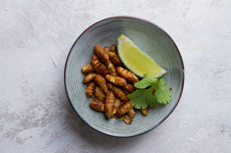 The Many Benefits of Cricket Protein Powder & Eating Bugs