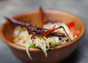a bowl of salad topped with fried grasshoppers