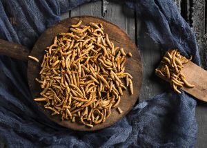 fried mealworms set on a wooden serving board