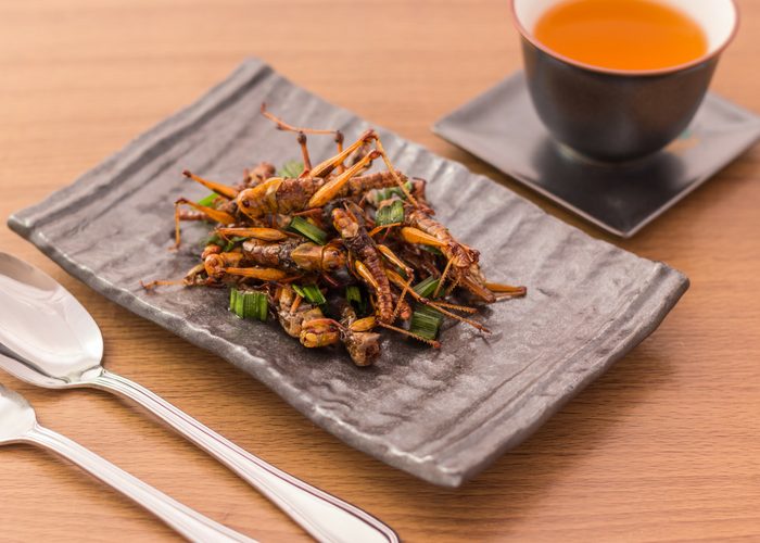 a plate of edible insects on a table with a cup of tea
