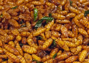 fried silkworms filling the picture