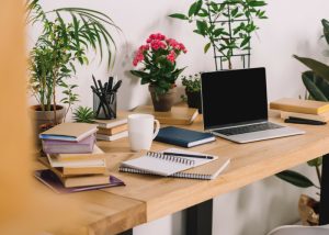 small green potted plants, books and a laptop on an office work desk