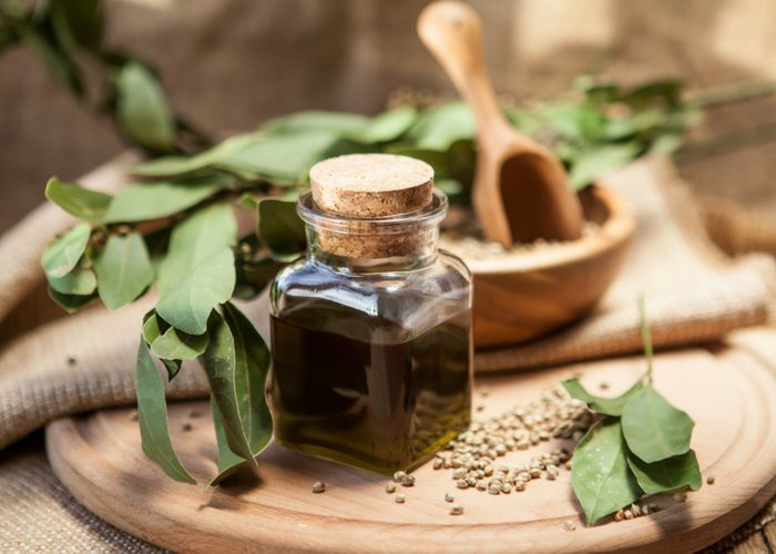 5 Tasty Hemp Seed Recipes (and the Benefits of Hemp Seed Oil)