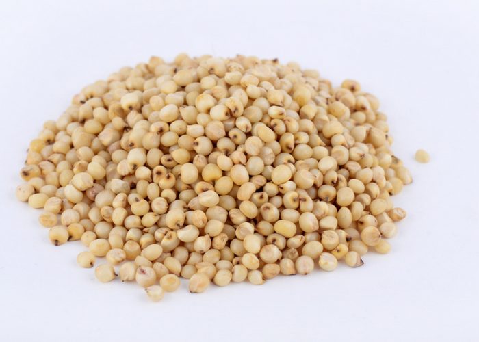 a pile of gluten free sorghum grains on a white table