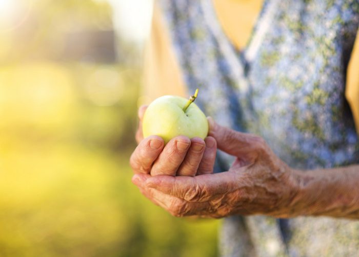 hands of an old woman holding a green apple