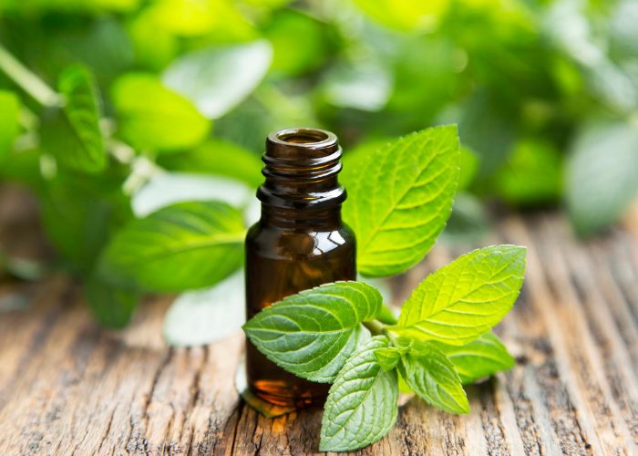 a small bottle of peppermint oil with fresh mint around it