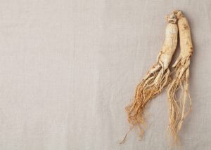 two ginseng roots on a grey background