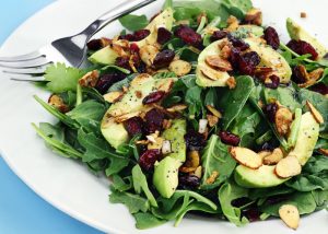 a low fat diet of healthy salad greens, avocado, fruits, nuts and dried berries