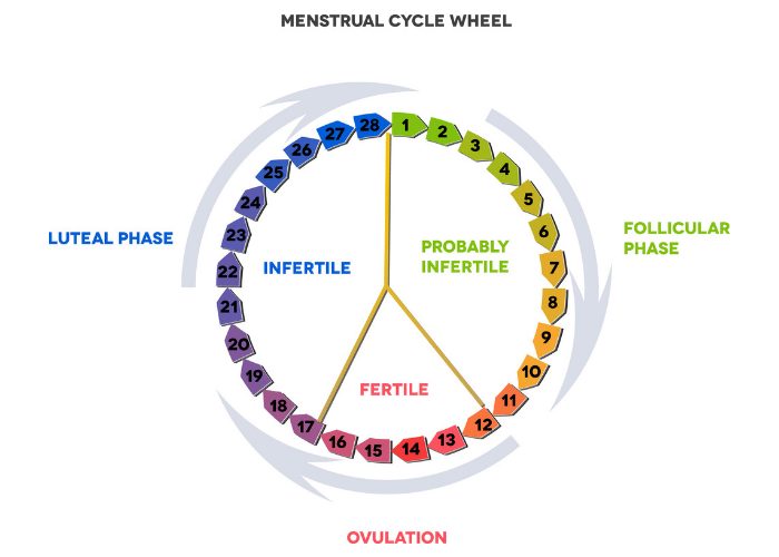 Diagram of a menstrual cycle wheel used in the rhythm birth control method, otherwise known as the family awareness method (FAM)