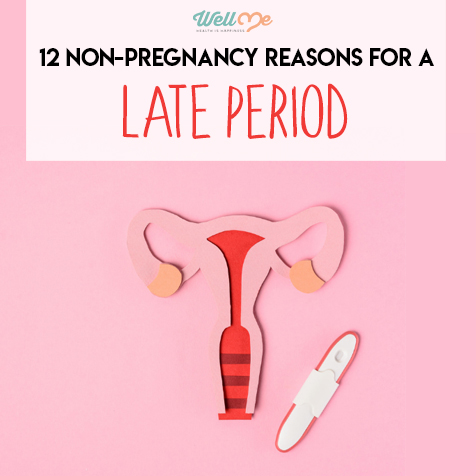 12 Non-Pregnancy Reasons For a Late Period
