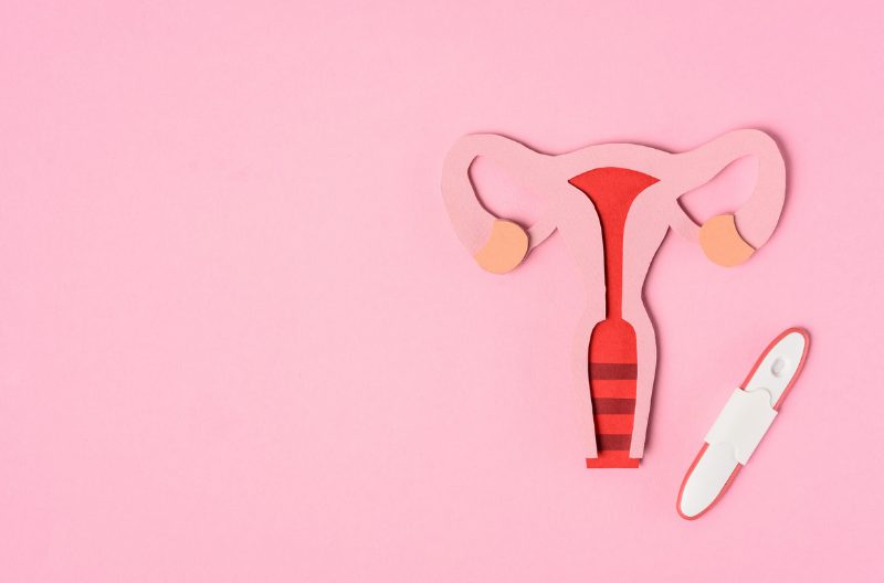 Cardboard cutout of the female reproductive system next to a pregnancy test stick, against a pink background