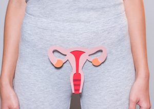Bottom half of a woman dressed in grey, with a cardboard cutout of the female reproductive system stuck to her body