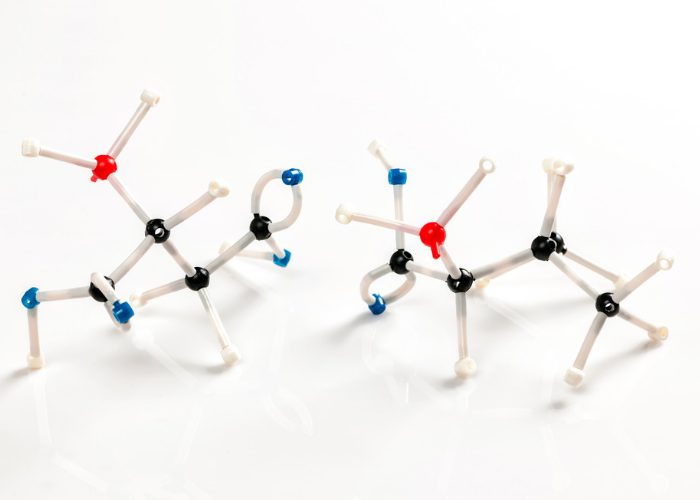 Plastic figures of the molecular makeup of amino acids