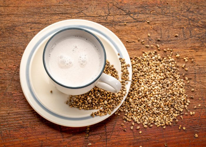 A cup of non-dairy hemp milk on a saucer with hemp seeds scattered next to it