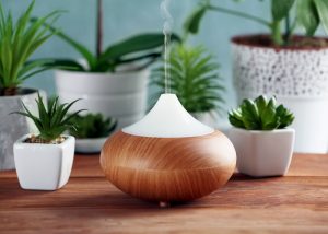 An wooden aromatherapy diffuser with potted plants in the background