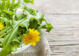 Bitter foods example dandelion greens