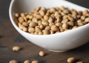 Soy beans in a ceramic white bowl