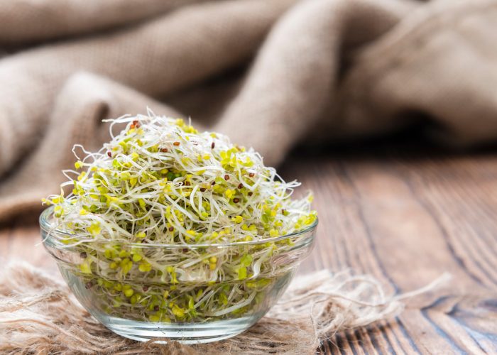 Broccoli Sprouts: Nature’s Secret Weapon Against Cancer