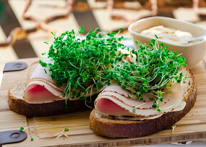 Broccoli sprouts topping on two slices of turkey and hummus toast