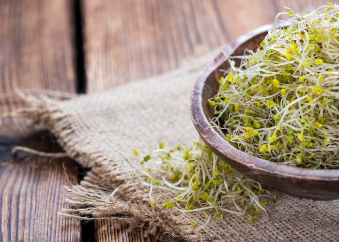 A wooden bowl filled with homemade broccoli sprouts