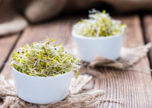Broccoli sprouts in a small white bowls