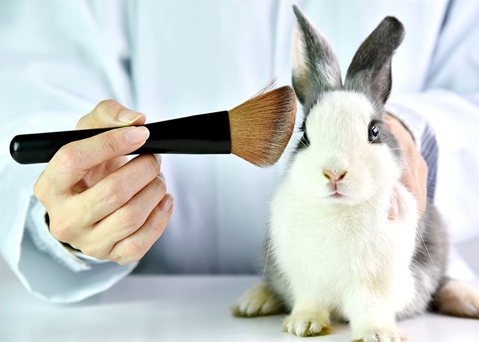 Lab researcher holding a makeup brush to a rabbit's face