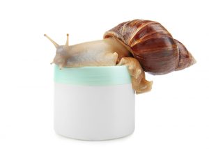 snail on a jar of snail cream