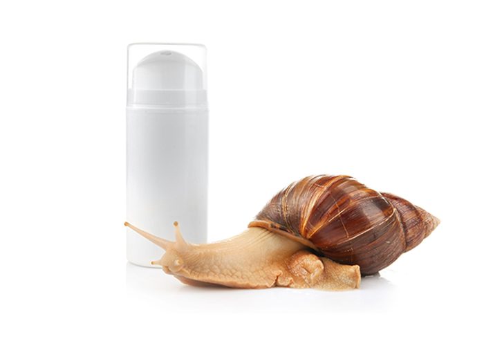 The Best Budget Snail Creams, Essences, & Masks For Glowing Skin