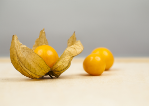 Two golden berries next to one golden berry in its husk.