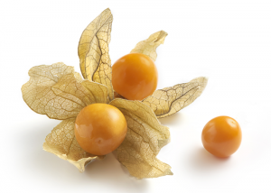 Two golden berries in their husk and one open berry on a white surface.