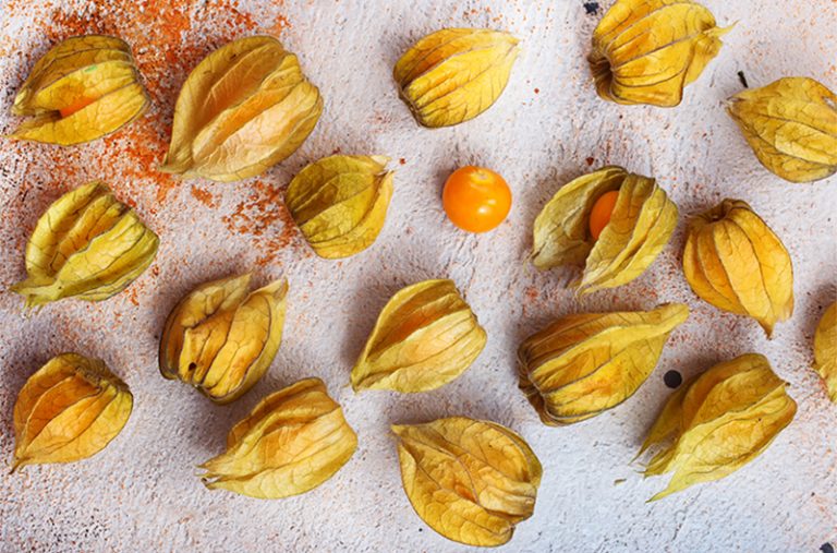 What Are Golden Berries? Here's What You Need to Know