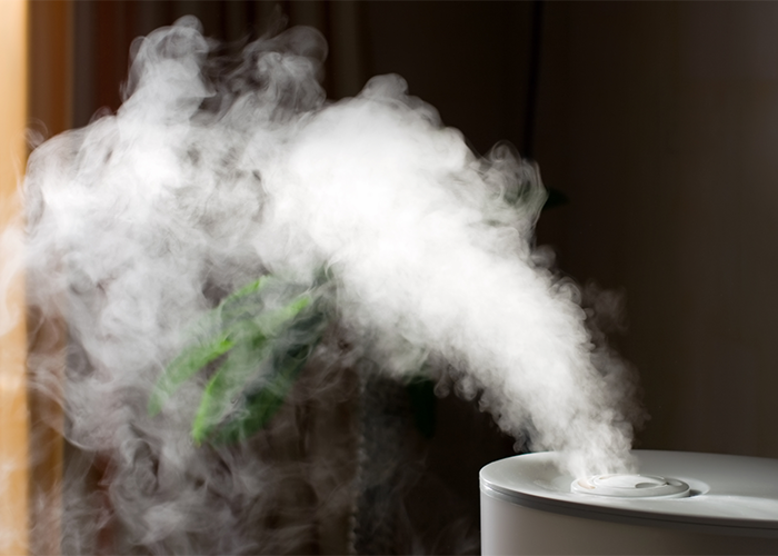 White vapor coming out of a humidifier.