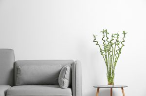 feng shui featured image