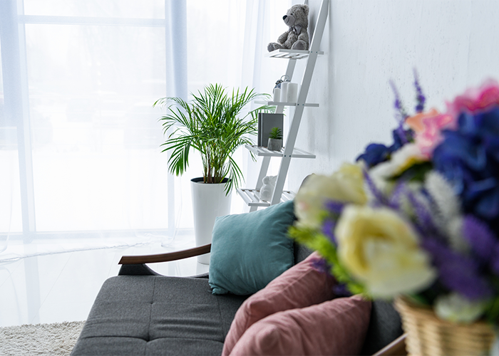 The side of the couch with a pot of flowers defocused and the frame focused on a small green palm on the far side of the living room