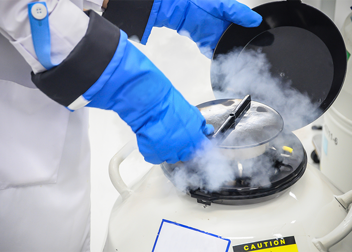 Lab technician in padded gloves and suit taking frozen eggs out of storage