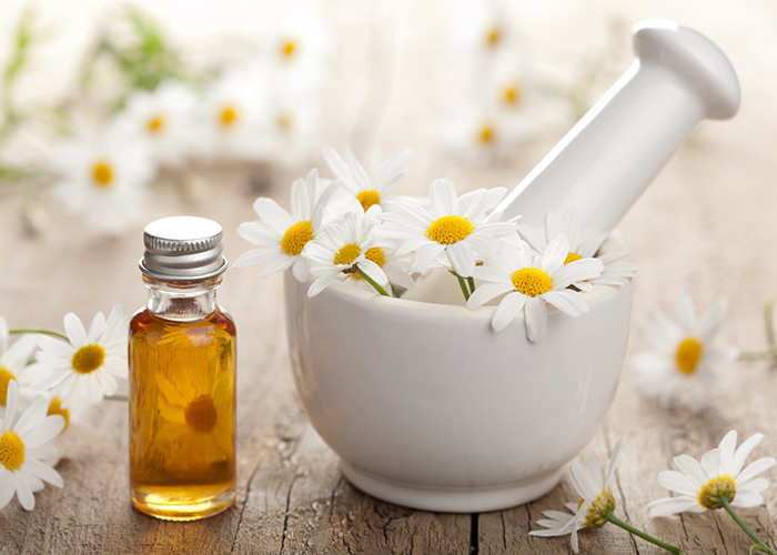 What Cedarwood Essential Oil Blends Well With WellMe