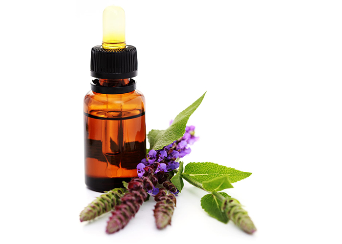 What Cedarwood Essential Oil Blends Well With WellMe