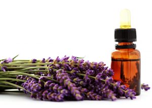Top 7 Oils Lavender Essential Oil Blends Well With