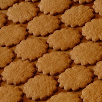 paleo gingerbread cookies featured image